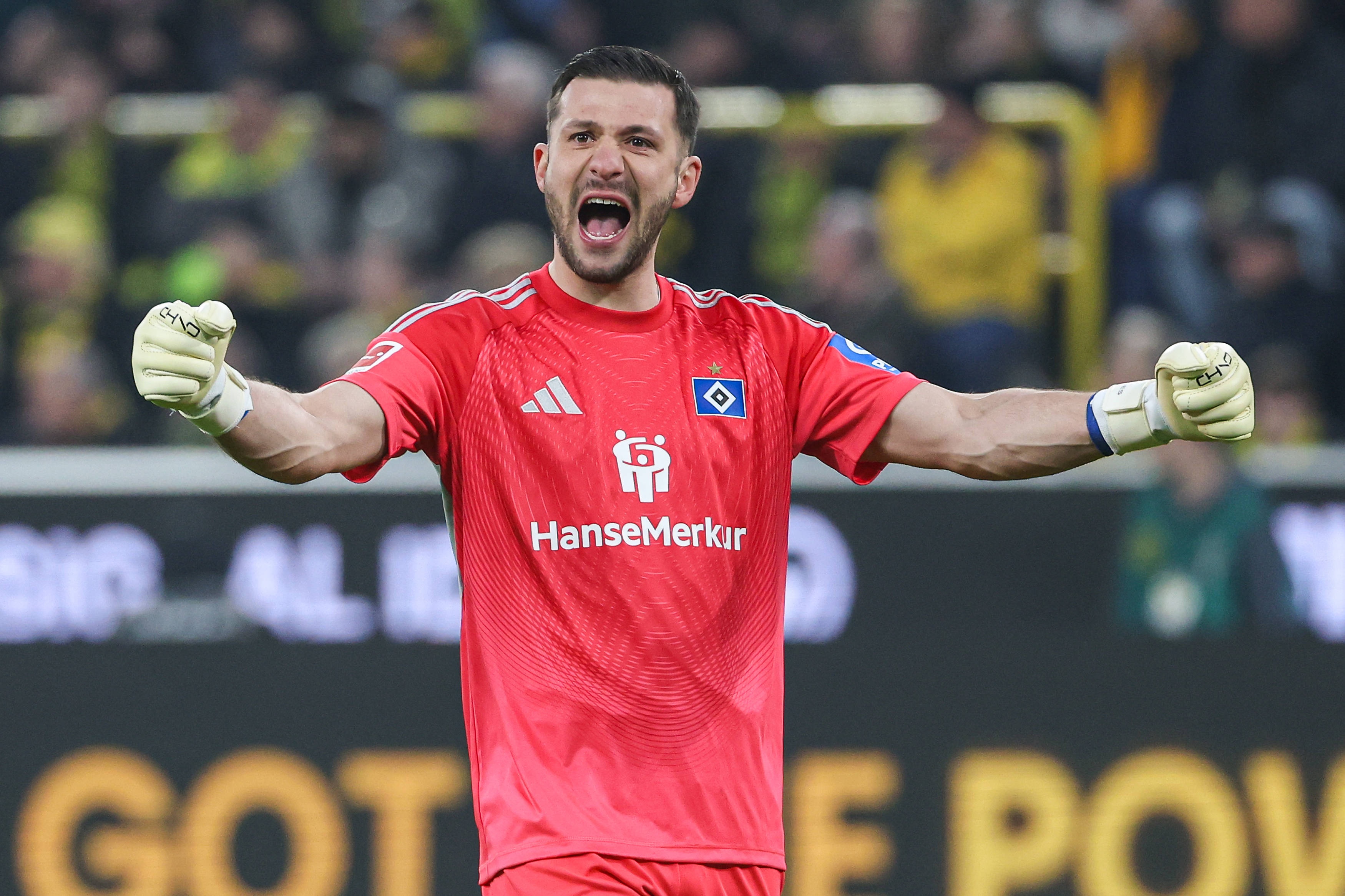 kaiyun-图片报：为下赛季寻找二号门将，拜仁有意汉堡33岁老将费尔南德斯